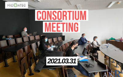 M12 Consortium meeting